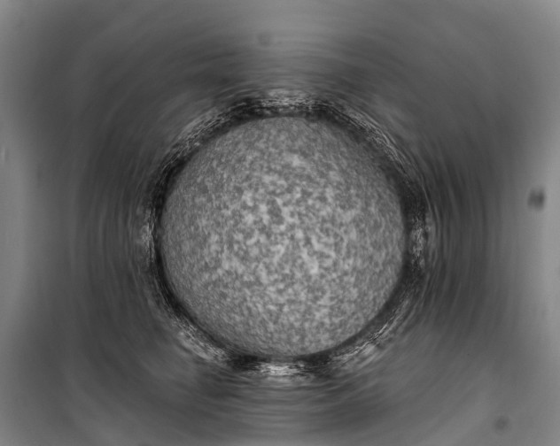 X0000101160662200807111030