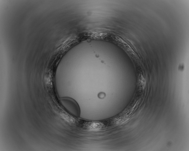 X0000101160663200807111030