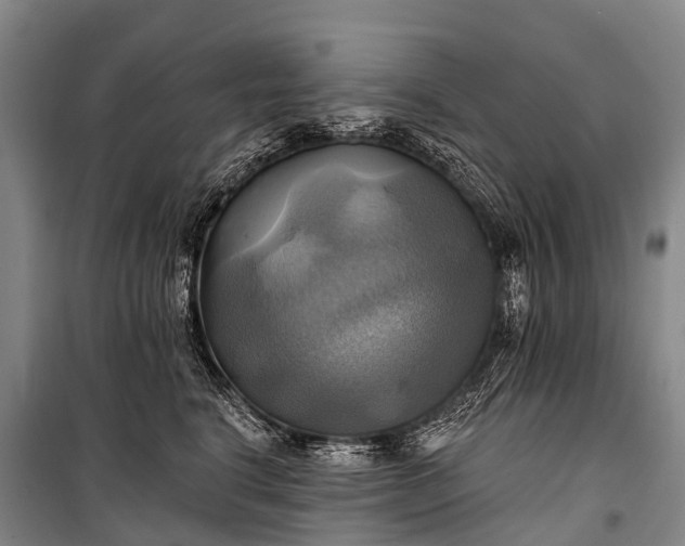 X0000101160664200807111030