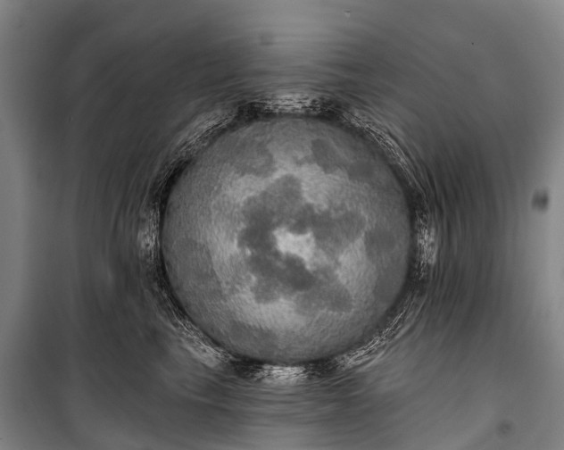 X0000101160665200807111030