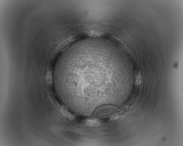 X0000101160666200807111030