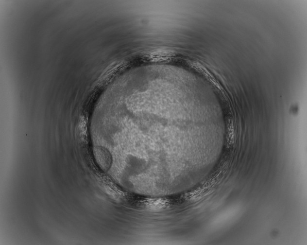 X0000101160667200807111030