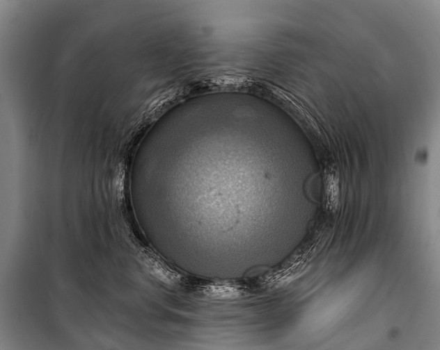 X0000101160668200807111030