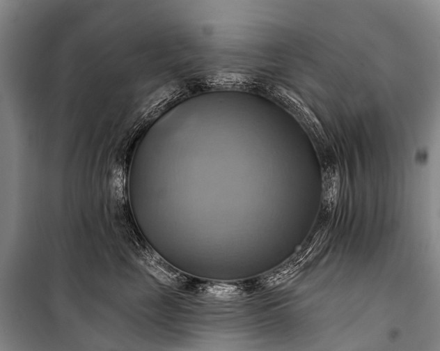 X0000101160669200807111030