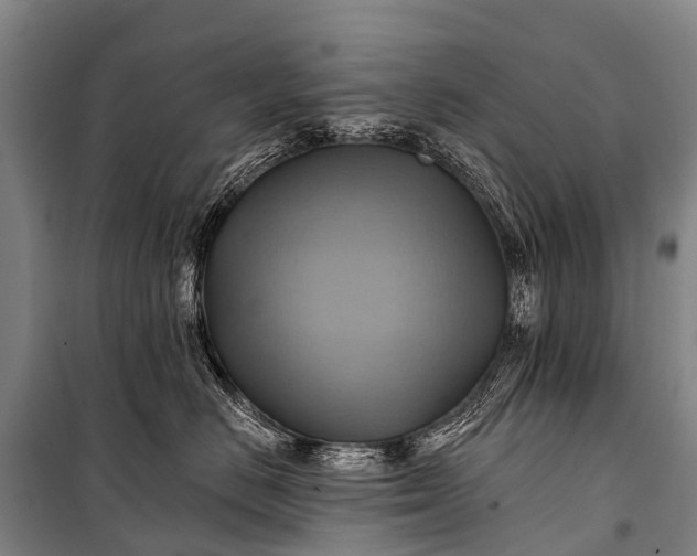 X0000101160670200807111030