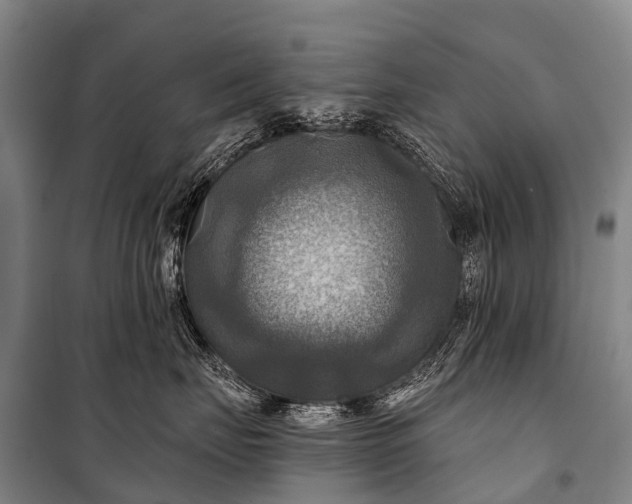 X0000101160671200807111030