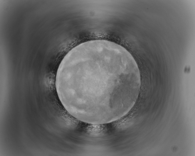 X0000101160672200807111030