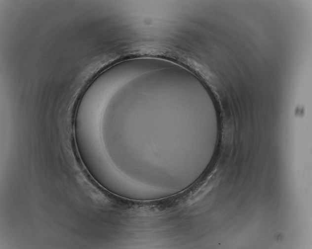 X0000101160673200807111029