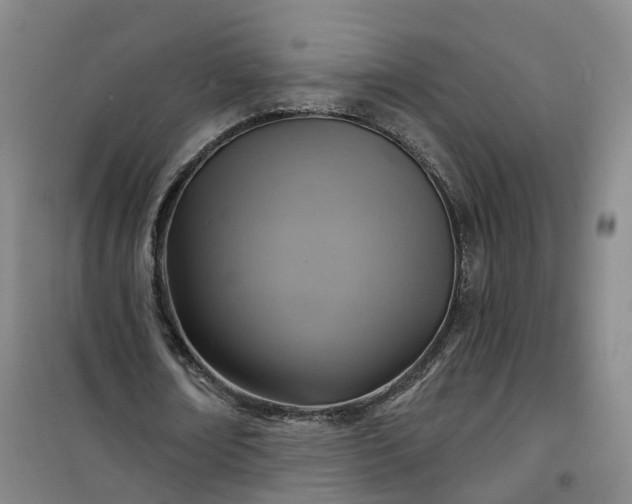 X0000101160674200807111029