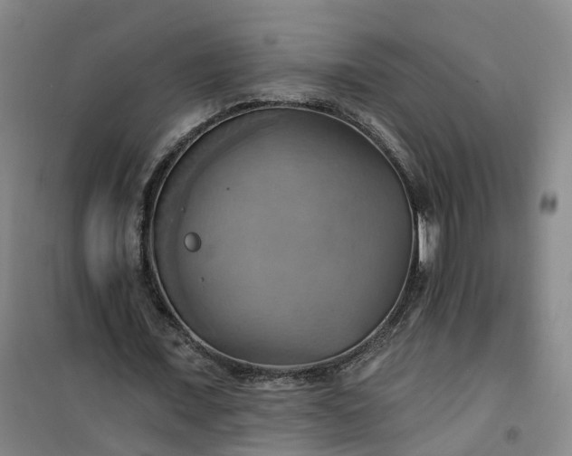 X0000101160675200807111029