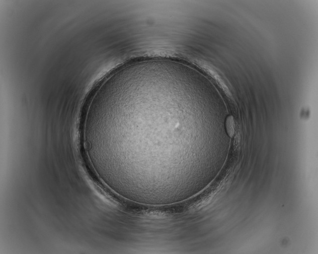 X0000101160677200807111029