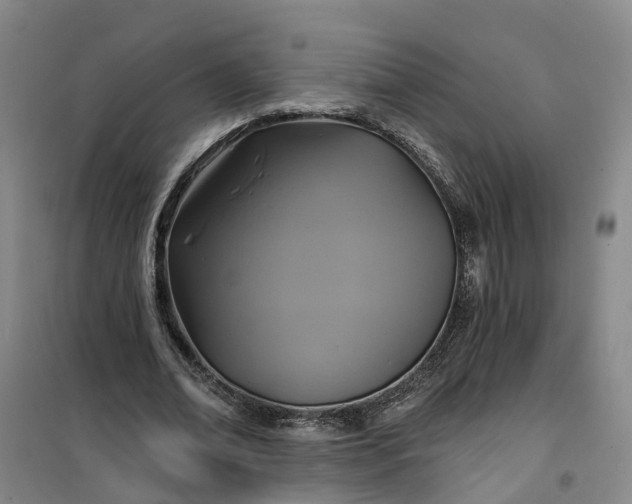 X0000101160678200807111029