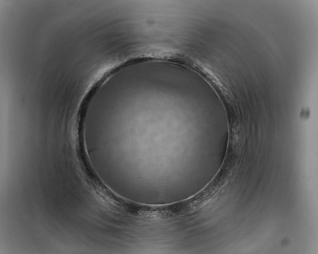 X0000101160679200807111029