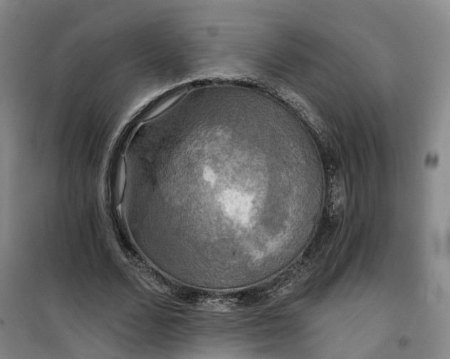 X0000101160680200807111029