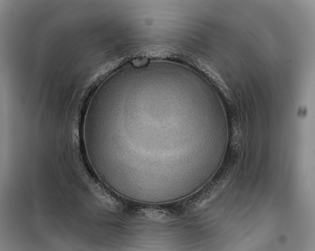 X0000101160681200807111029