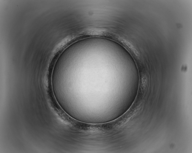 X0000101160682200807111029