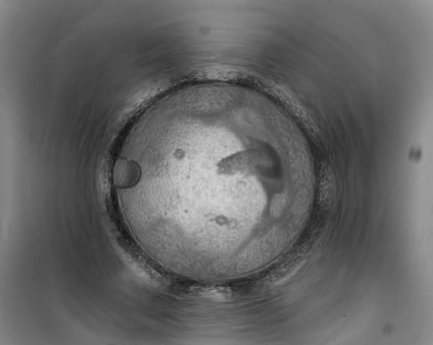 X0000101160683200807111029