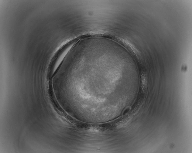 X0000101160684200807111029