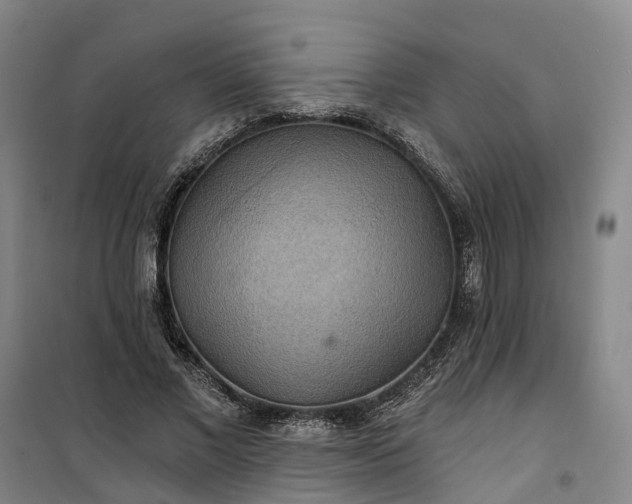 X0000101160685200807111029