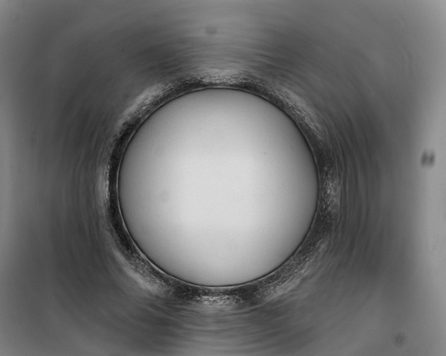 X0000101160686200807111029