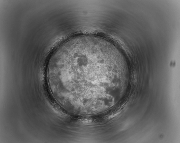 X0000101160687200807111029