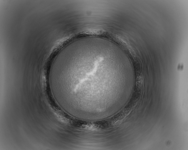 X0000101160688200807111029