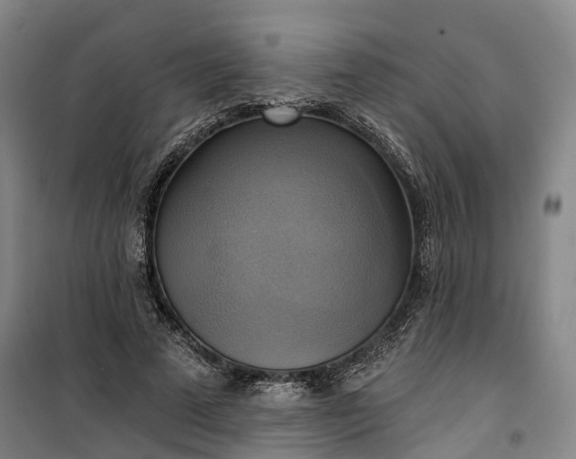 X0000101160689200807111029