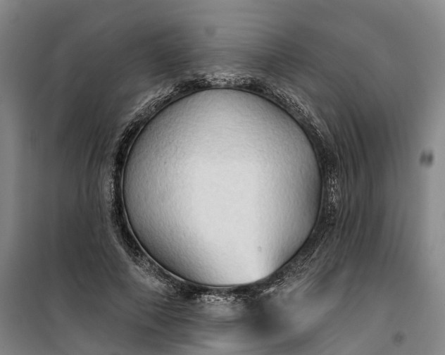 X0000101160690200807111029