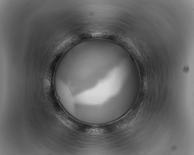 X0000101160691200807111029