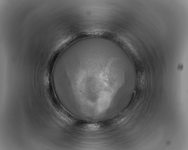 X0000101160692200807111029