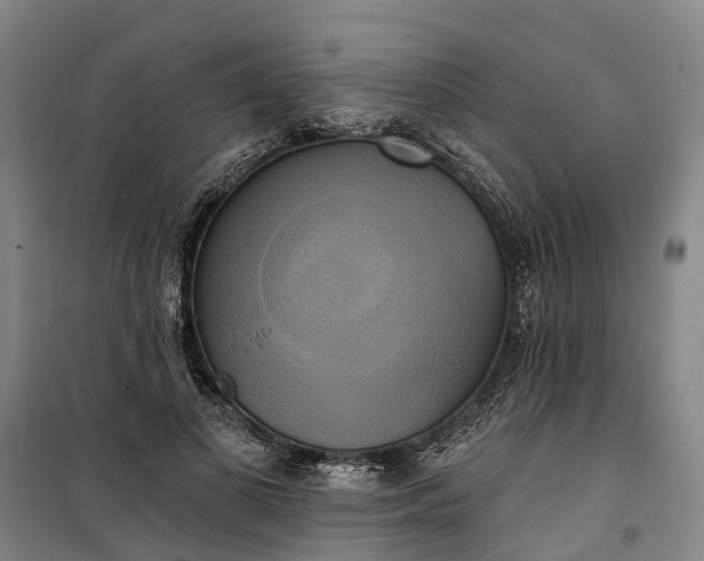 X0000101160693200807111029