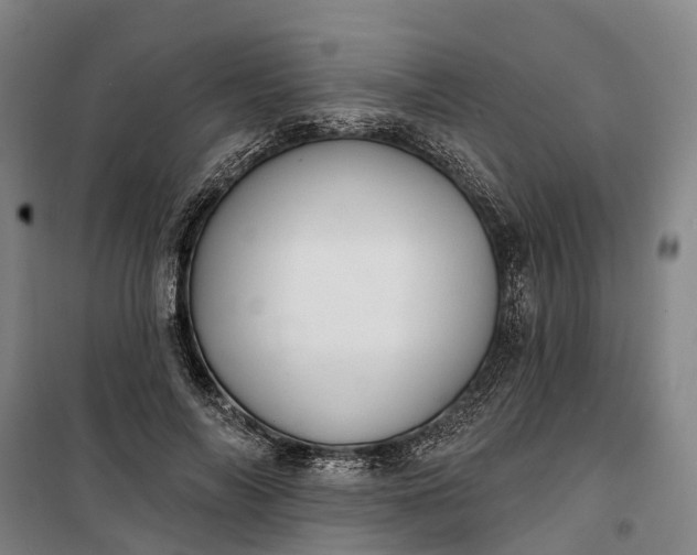 X0000101160694200807111029