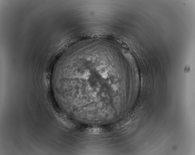 X0000101160695200807111029