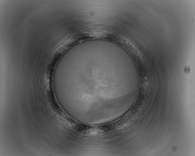 X0000101160696200807111029