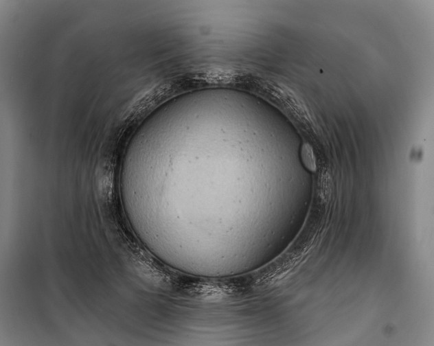 X0000101160697200807111029