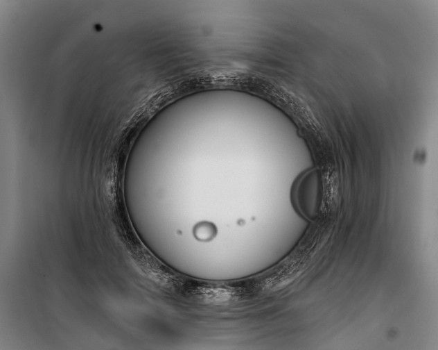 X0000101160698200807111029