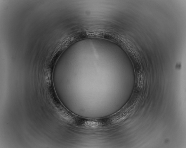 X0000101160699200807111029