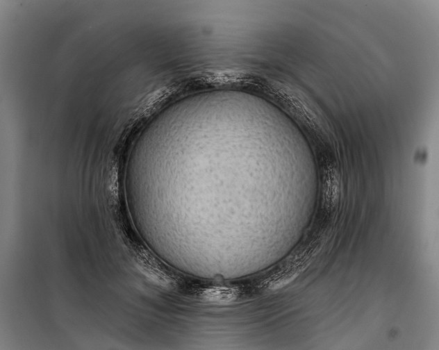 X0000101160700200807111029