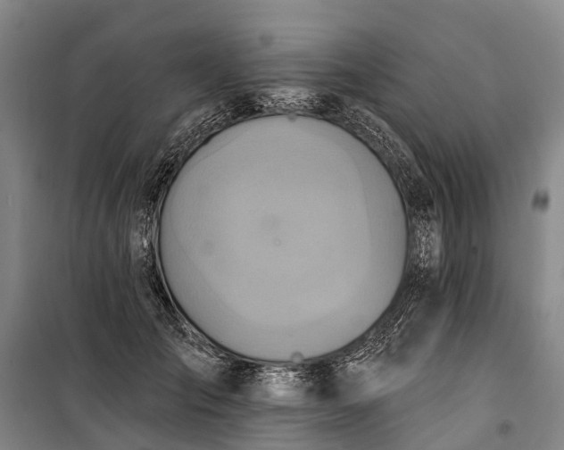 X0000101160701200807111029