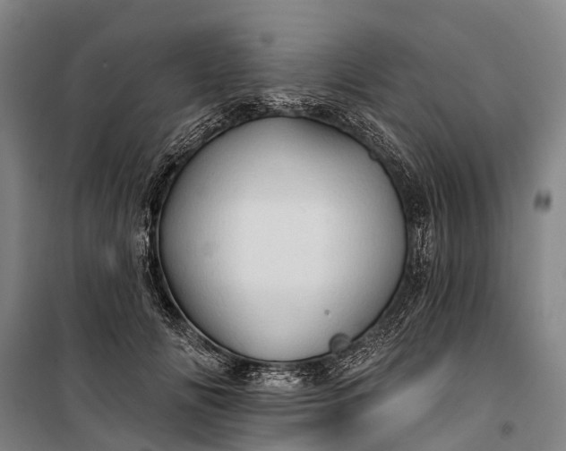 X0000101160702200807111029