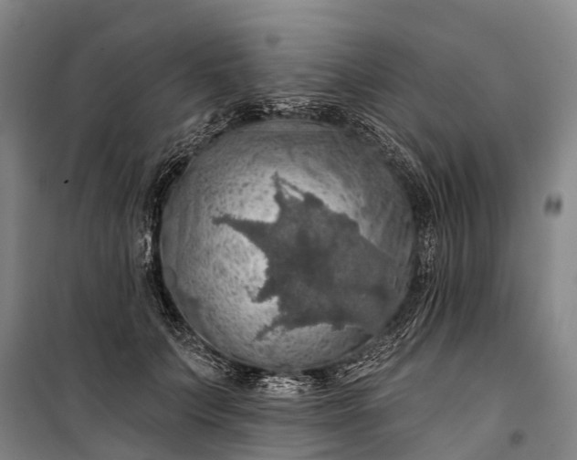 X0000101160703200807111029