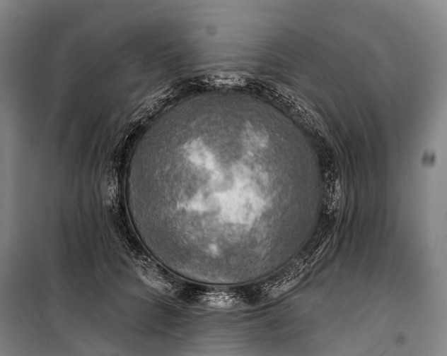 X0000101160704200807111029