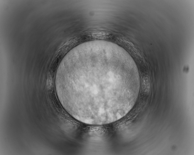 X0000101160705200807111029