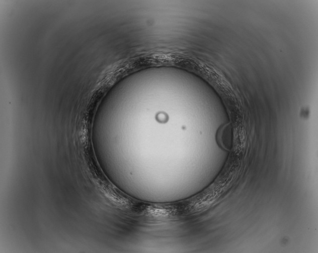 X0000101160706200807111029