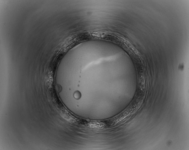 X0000101160707200807111029