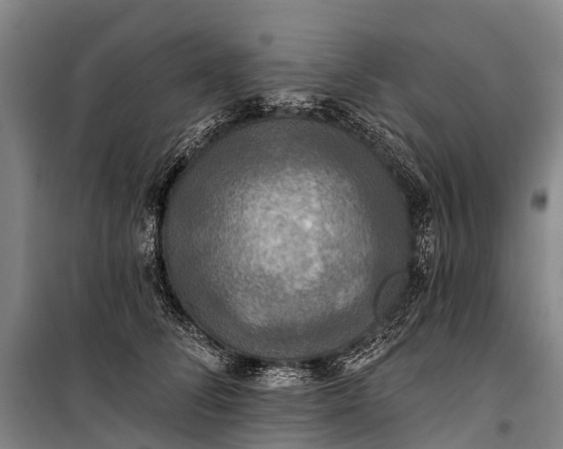 X0000101160708200807111029