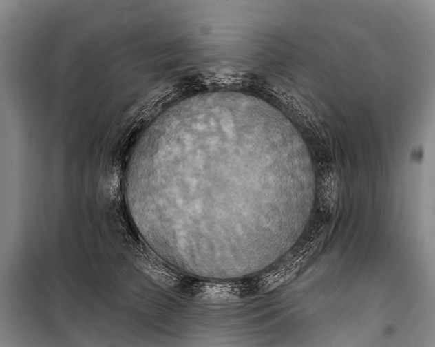 X0000101160709200807111029