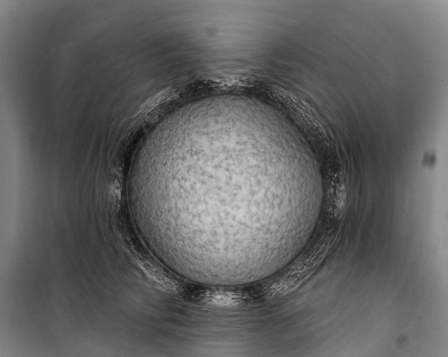 X0000101160710200807111029