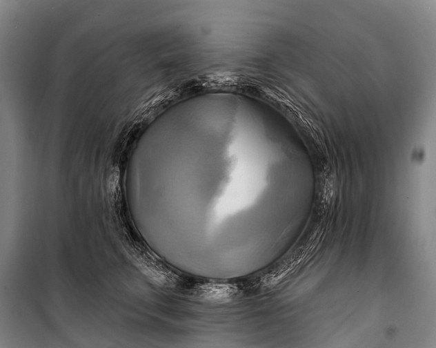 X0000101160711200807111029