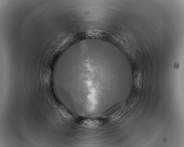 X0000101160712200807111029